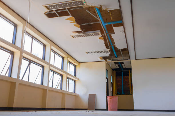 Best Sewage cleanup and water damage restoration  in Ruleville, MS