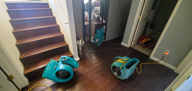 Best Carpet water damage restoration  in Ruleville, MS