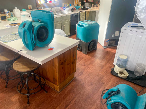 Best Water damage restoration experts  in Ruleville, MS