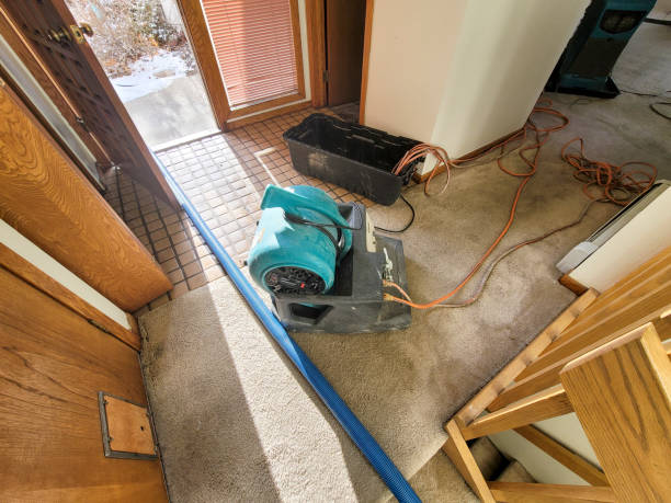 24/7 water damage repair in MS