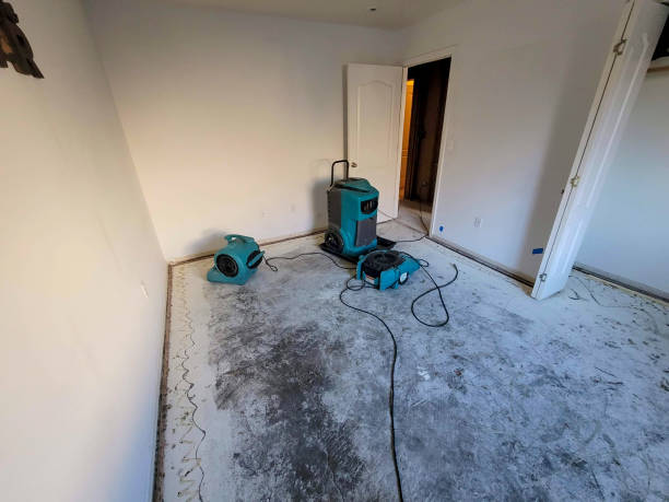 Best Water damage restoration near me  in Ruleville, MS