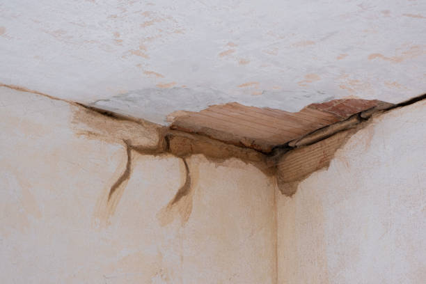 Best Flood restoration services  in Ruleville, MS