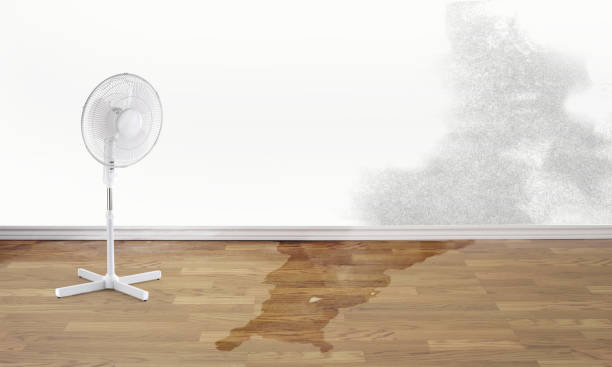 Local water damage restoration in MS
