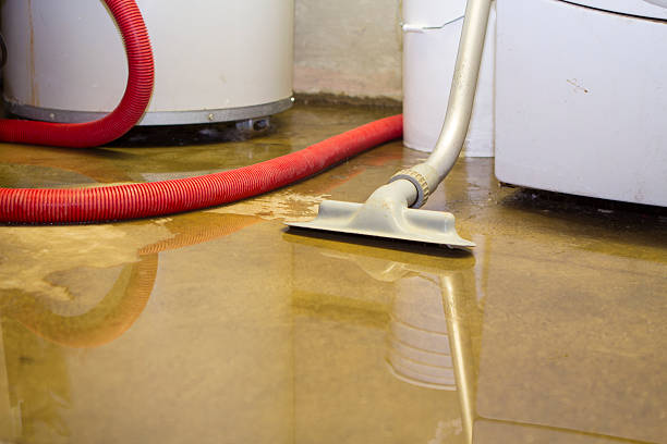 Best Water damage restoration mold remediation  in Ruleville, MS