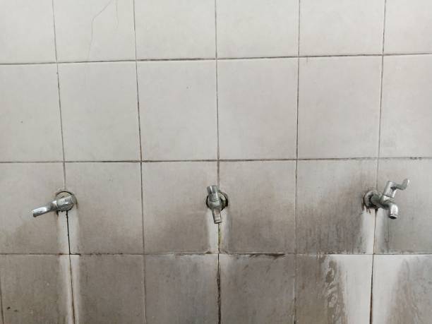 Best Fire Damage Restoration  in Ruleville, MS