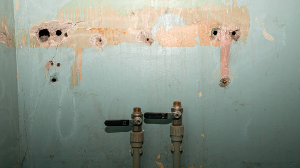 Best Flooded house restoration  in Ruleville, MS