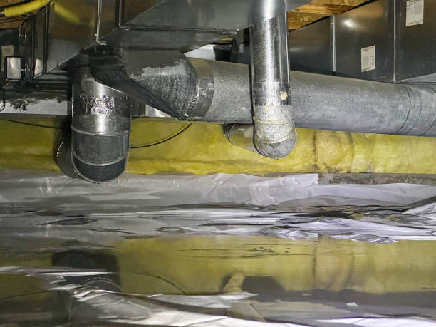 Best 24/7 water damage repair  in Ruleville, MS