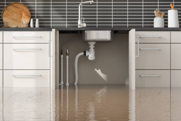 Best Flooded house restoration  in Ruleville, MS