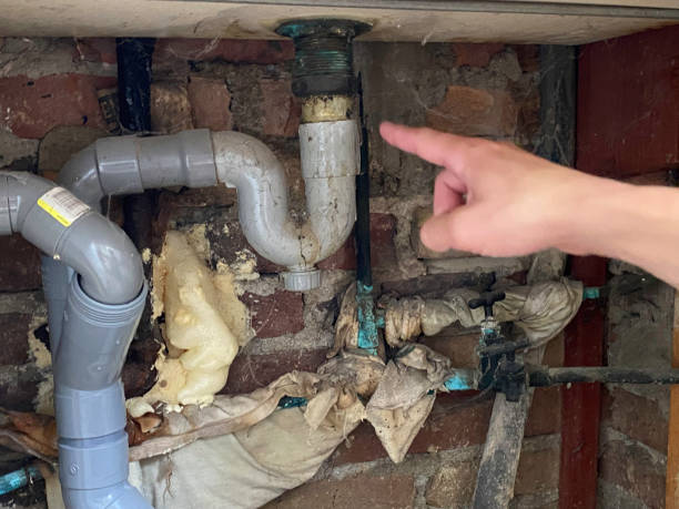 Water damage restoration experts in MS