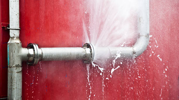 Best Mold removal after water damage  in Ruleville, MS