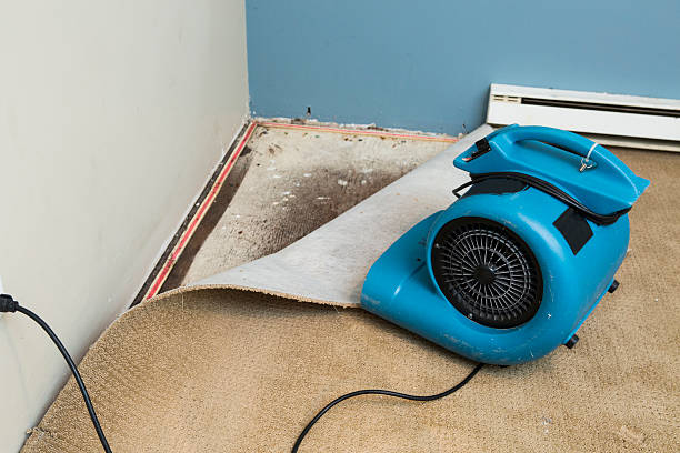 Best Emergency water damage restoration  in Ruleville, MS